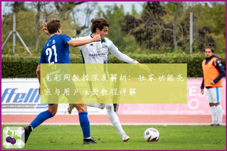 竞彩网数据深度解析:独家功能亮点与用户注册教程详解